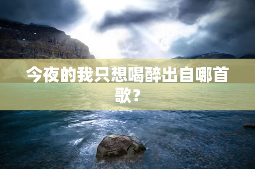 今夜的我只想喝醉出自哪首歌？