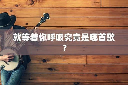 就等着你呼吸究竟是哪首歌？