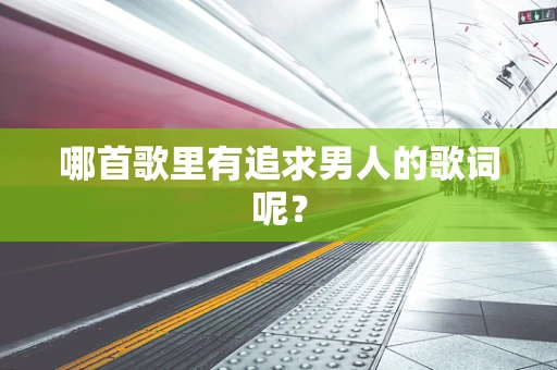 哪首歌里有追求男人的歌词呢？