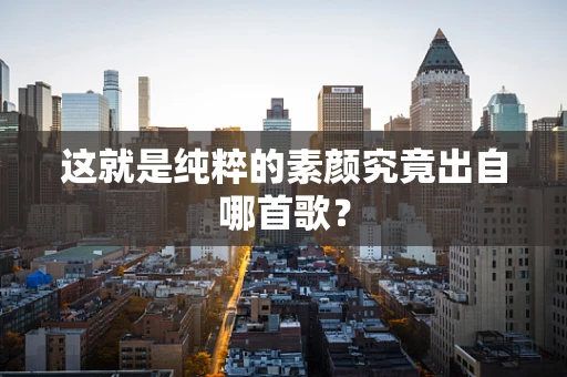 这就是纯粹的素颜究竟出自哪首歌？
