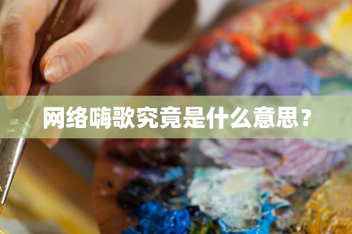 网络嗨歌究竟是什么意思？
