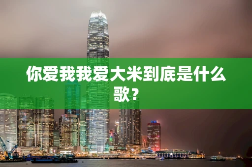 你爱我我爱大米到底是什么歌？