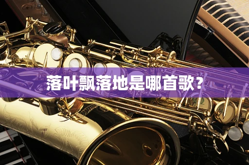 落叶飘落地是哪首歌？