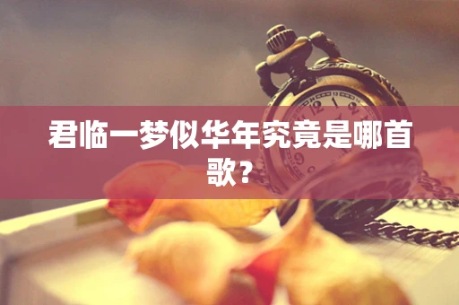 君临一梦似华年究竟是哪首歌？