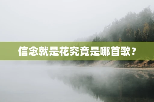 信念就是花究竟是哪首歌？