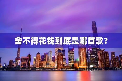 舍不得花钱到底是哪首歌？