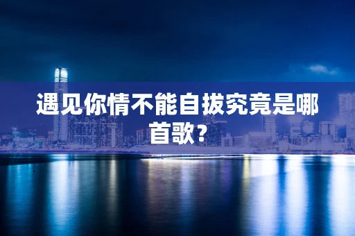 遇见你情不能自拔究竟是哪首歌？