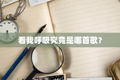 看我呼吸究竟是哪首歌？
