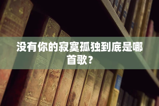 没有你的寂寞孤独到底是哪首歌？