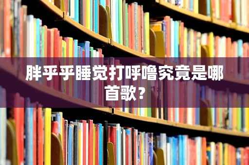 胖乎乎睡觉打呼噜究竟是哪首歌？