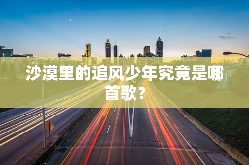 沙漠里的追风少年究竟是哪首歌？