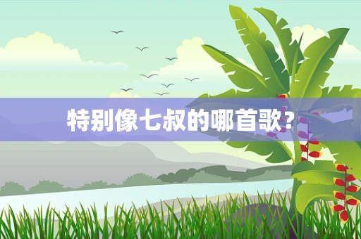 特别像七叔的哪首歌？