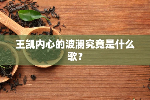 王凯内心的波澜究竟是什么歌？