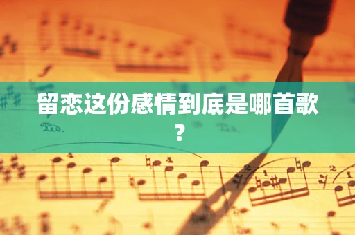 留恋这份感情到底是哪首歌？
