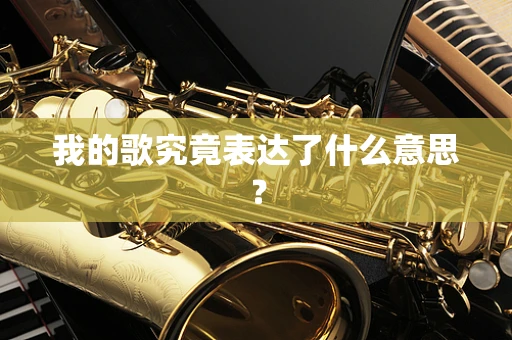 我的歌究竟表达了什么意思？