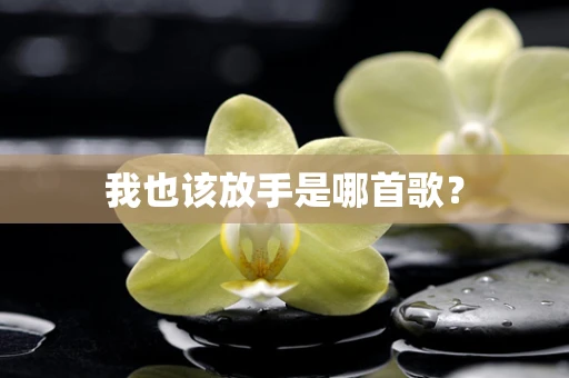 我也该放手是哪首歌？