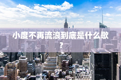 小度不再流浪到底是什么歌？