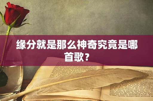 缘分就是那么神奇究竟是哪首歌？