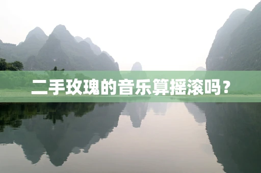 二手玫瑰的音乐算摇滚吗？