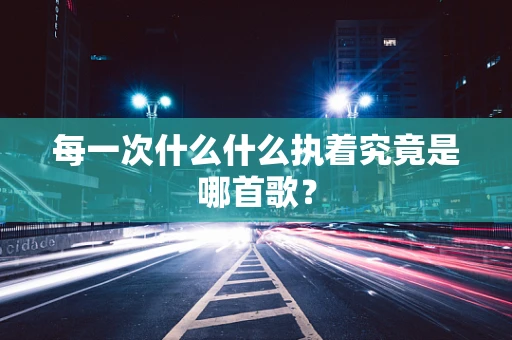 每一次什么什么执着究竟是哪首歌？