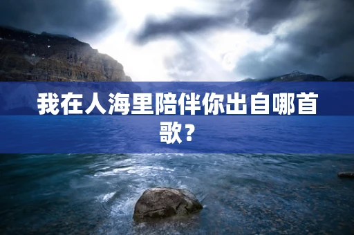 我在人海里陪伴你出自哪首歌？