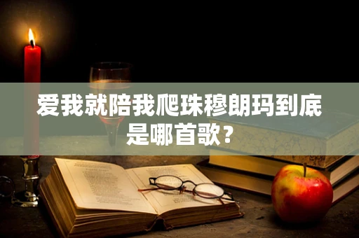 爱我就陪我爬珠穆朗玛到底是哪首歌？