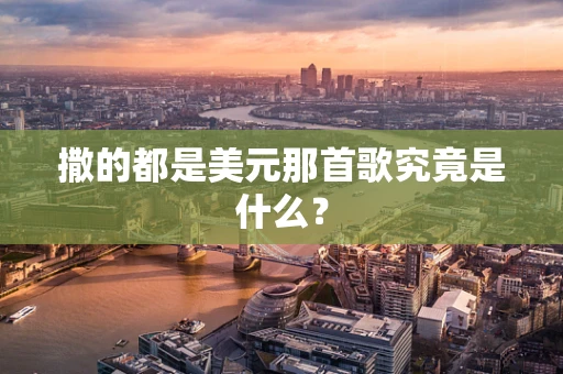 撒的都是美元那首歌究竟是什么？