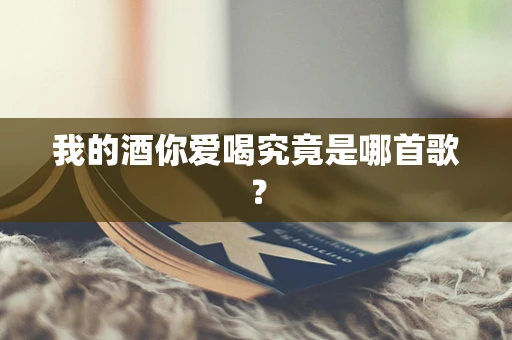 我的酒你爱喝究竟是哪首歌？