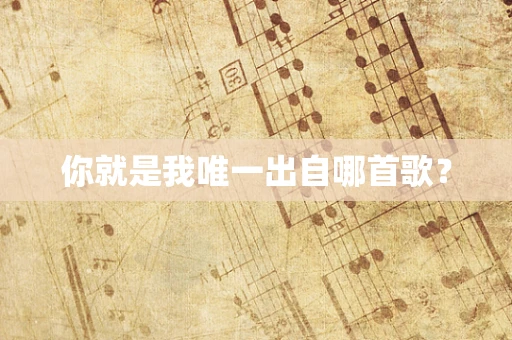 你就是我唯一出自哪首歌？
