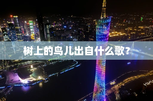 树上的鸟儿出自什么歌？