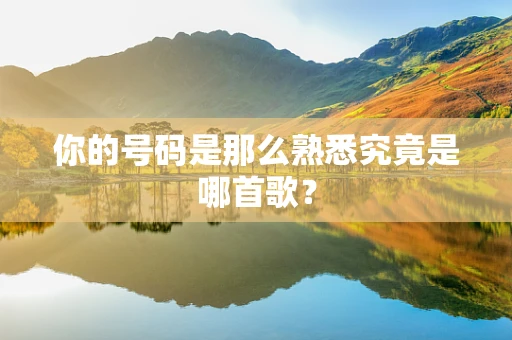你的号码是那么熟悉究竟是哪首歌？