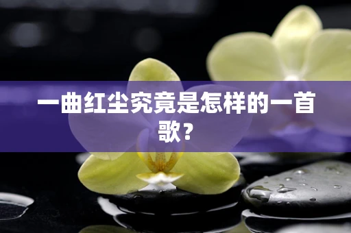 一曲红尘究竟是怎样的一首歌？