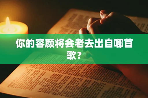 你的容颜将会老去出自哪首歌？