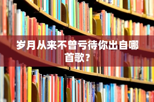 岁月从来不曾亏待你出自哪首歌？