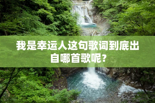 我是幸运人这句歌词到底出自哪首歌呢？