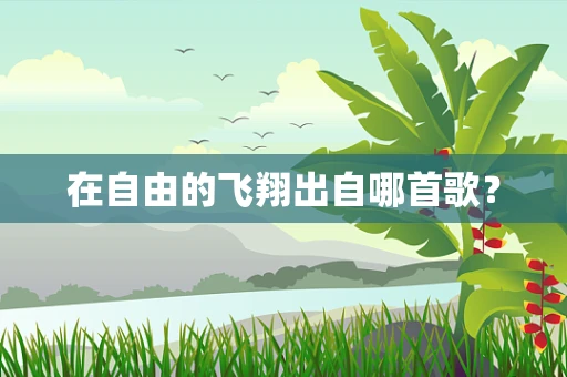 在自由的飞翔出自哪首歌？