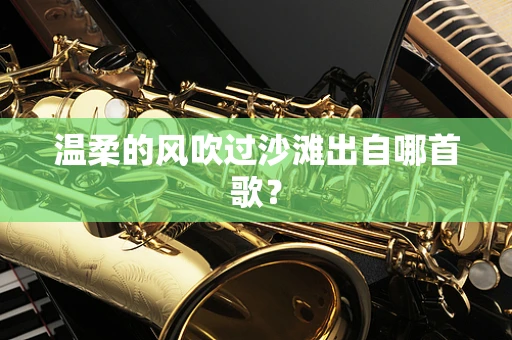 温柔的风吹过沙滩出自哪首歌？