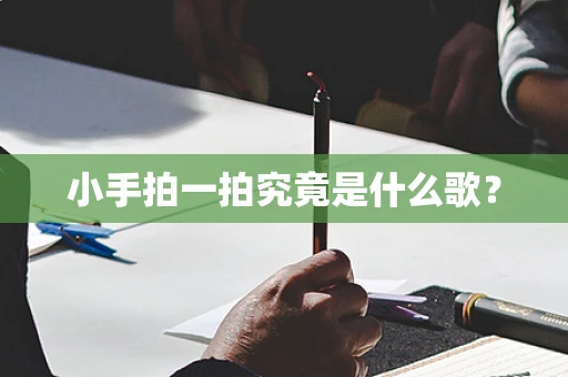 小手拍一拍究竟是什么歌？