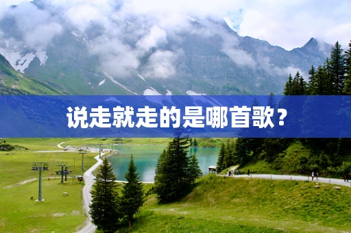 说走就走的是哪首歌？