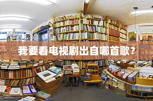 我要看电视剧出自哪首歌？