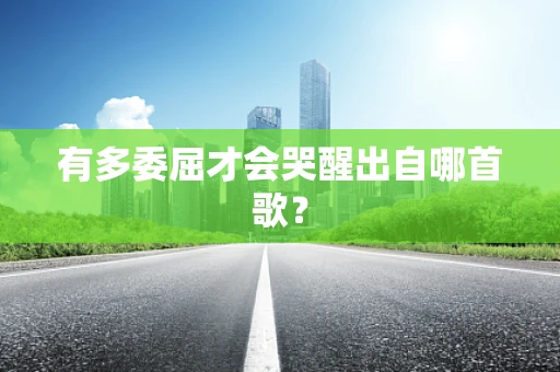 有多委屈才会哭醒出自哪首歌？