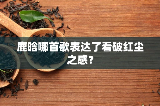 鹿晗哪首歌表达了看破红尘之感？