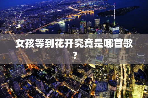 女孩等到花开究竟是哪首歌？