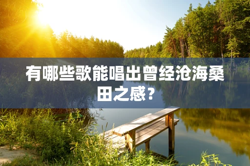 有哪些歌能唱出曾经沧海桑田之感？