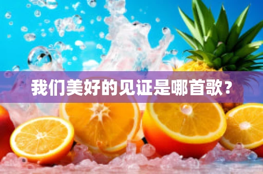 我们美好的见证是哪首歌？