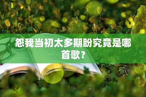 怨我当初太多期盼究竟是哪首歌？