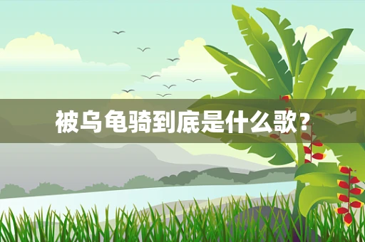 被乌龟骑到底是什么歌？