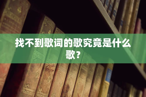 找不到歌词的歌究竟是什么歌？