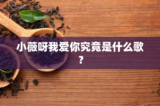 小薇呀我爱你究竟是什么歌？