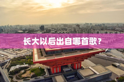 长大以后出自哪首歌？